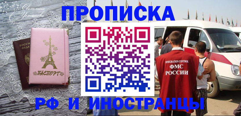 прописка поиск в Нелидово